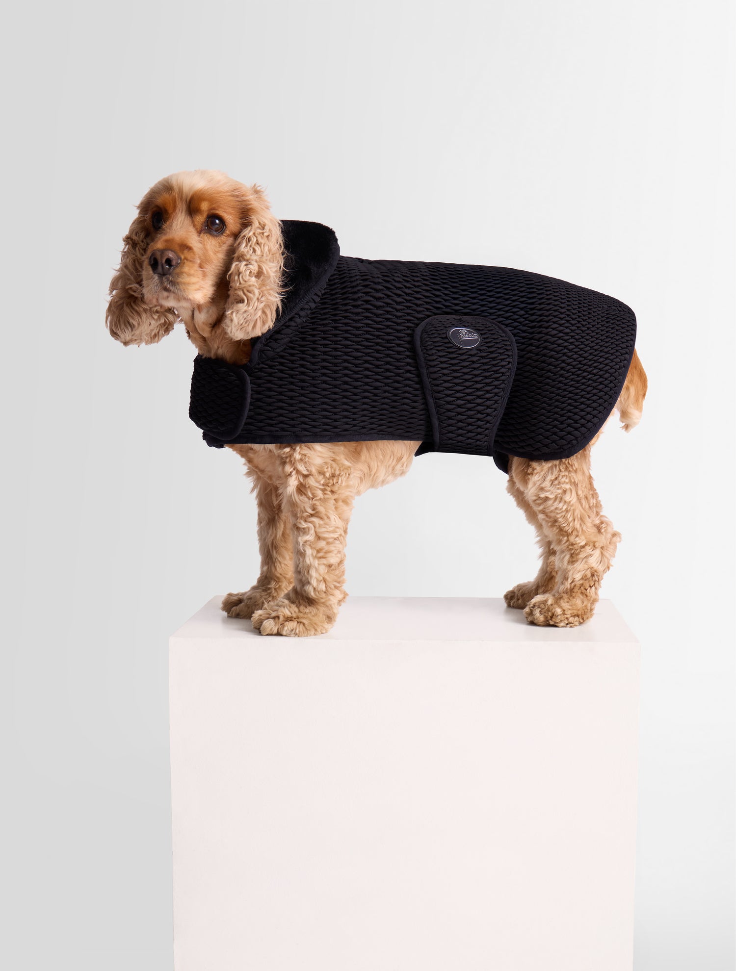 fusalp-pawino-manteau-pour-chien-smock-diamant image 2