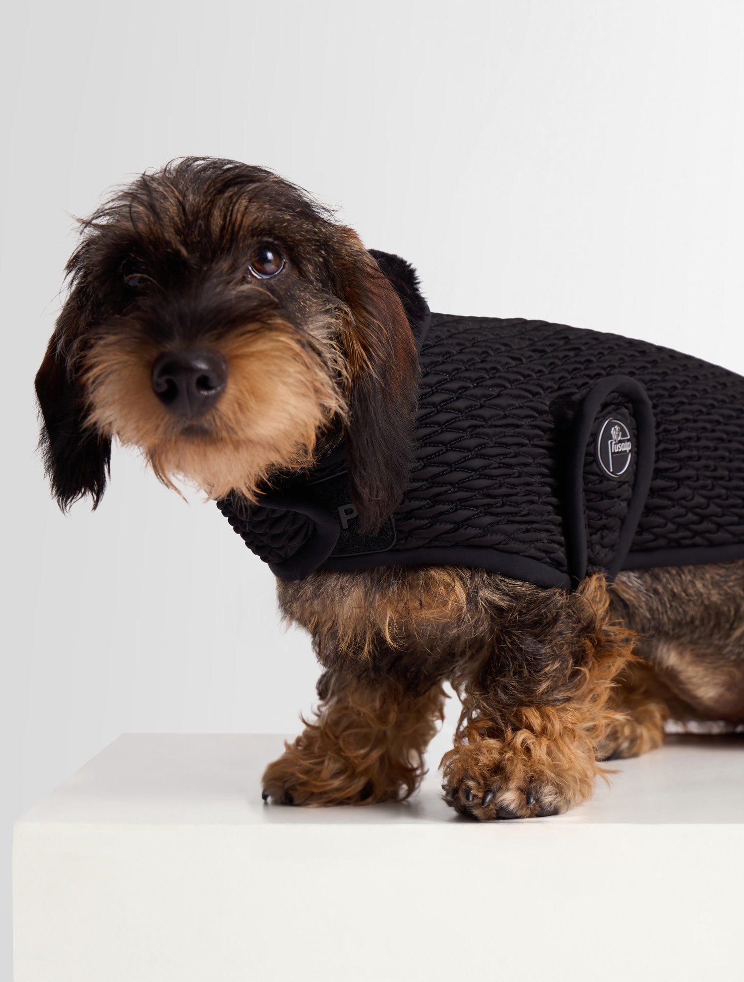 fusalp-pawino-manteau-pour-chien-smock-diamant image 4