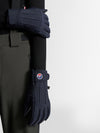 fusalp-glacier-m-gants-ski-grand-froid-primaloft image 6
