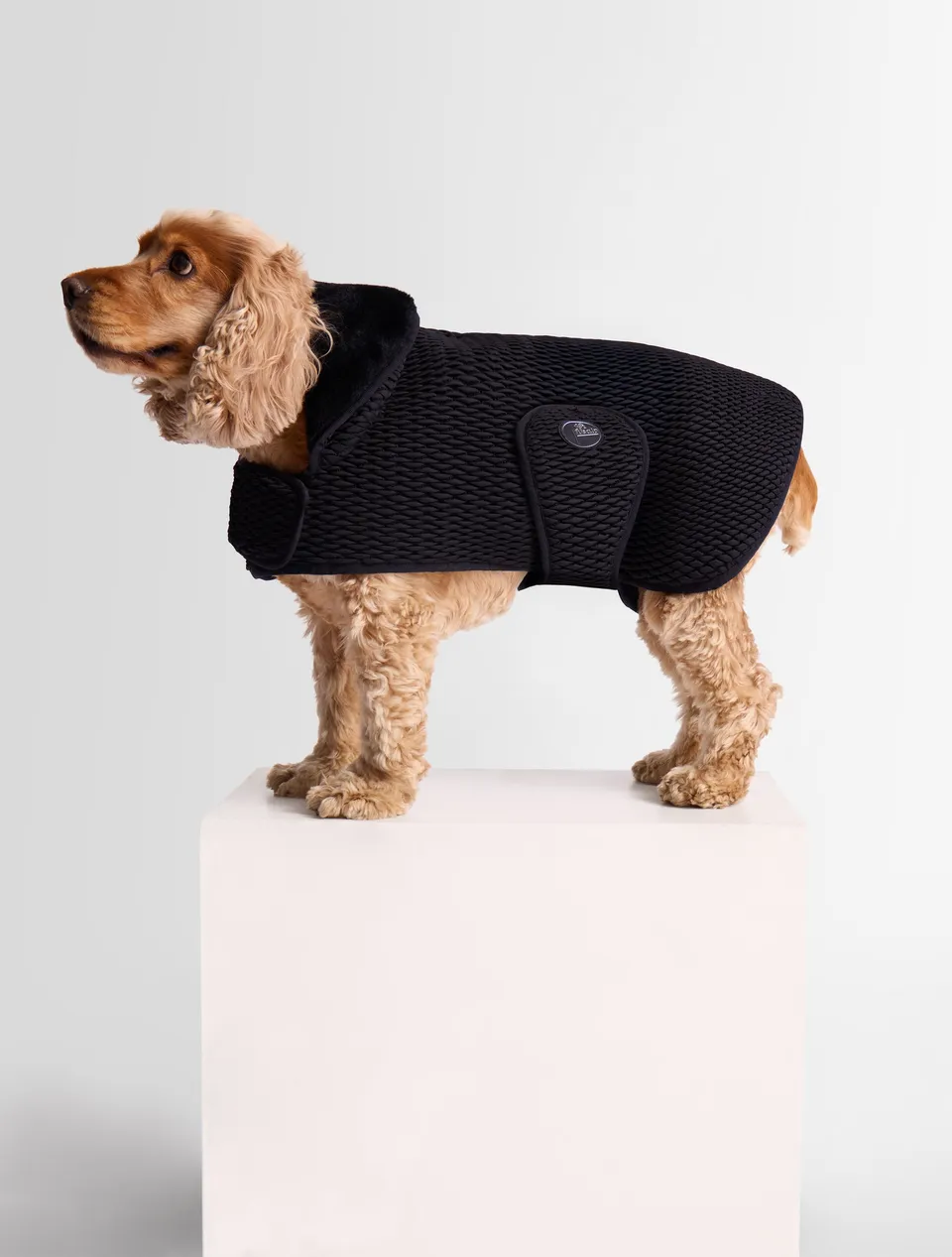fusalp-pawino-manteau-pour-chien-smock-diamant image 1