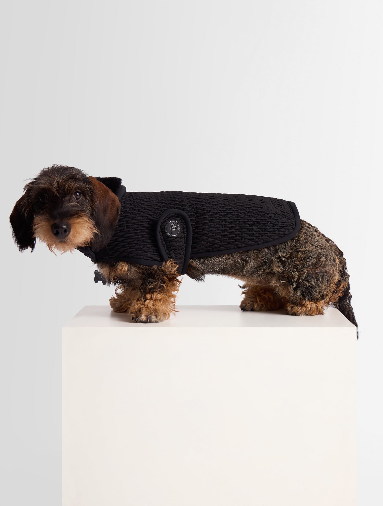 fusalp-pawino-manteau-pour-chien-smock-diamant image 3